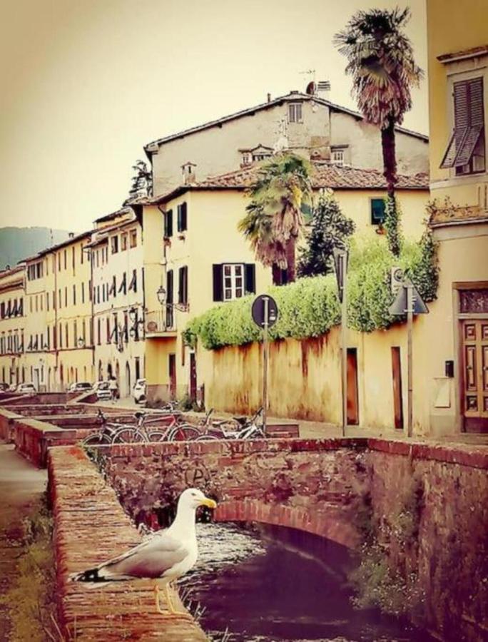 Lo Stellario Di Lucca Apartment Ngoại thất bức ảnh